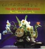 傅浩然水仙造型艺术 1994 PDF电子版封面 7119016733 傅浩然著