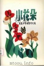 小花朵：美莲小学优秀作文选（ PDF版）