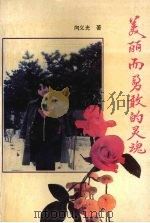 美丽而勇敢的灵魂 1995 PDF电子版封面 7541111864 向义光著