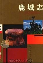 鹿城志（1995 PDF版）