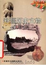 新疆历史文物 1999 PDF电子版封面 7805477868 王炳华主编;刘文锁著文