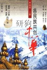 各民族共创中华 西南卷 上 藏族、门巴族、珞巴族、羌族的贡献 1999 PDF电子版封面 7806084746 韩效文,杨建新主编;尹伟先著