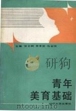 青年美育基础 1991 PDF电子版封面 7561018673 张云树等主编