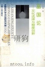 富国论 文化选择与制度创新 1998 PDF电子版封面 7222025014 陈荣耀著