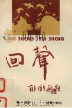 回声 1994 PDF电子版封面 7508002682 郁斌著
