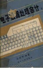 电子数据处理会计 下 1990 PDF电子版封面 7205014190 江光宇编著