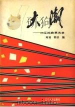 大潮-88辽沈改革名录 1989 PDF电子版封面 7561006608 阿利,韩冰编