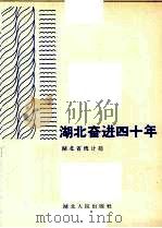 湖北奋进四十年   1989  PDF电子版封面  721600423x  湖北省统计局编 