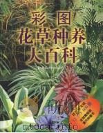 彩图花草种养大百科（1999 PDF版）