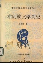 布朗族文学简史 1995 PDF电子版封面 7536711239 王国祥著