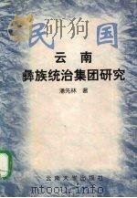 民国云南彝族统治集团研究 1999 PDF电子版封面 7810680080 潘先林著