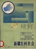 新疆农村社会 下 1988 PDF电子版封面 7504803420 中共新疆维吾尔自治区委员会政策研究室等编