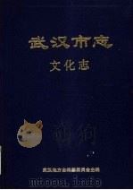 武汉市志 22 文化志 1998 PDF电子版封面 7307025574 武汉地方志编纂委员会主编