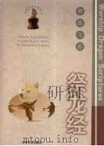 祭龙经 1999 PDF电子版封面 7536715145 普学旺等译注