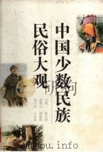 中国少数民族民俗大观 1998 PDF电子版封面 7211029986 索文清等主编