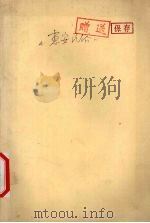 惠安民俗 1997 PDF电子版封面 7561511523 陈国强主编