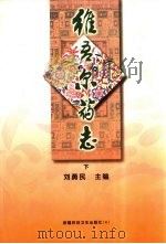 维吾尔药志  下（1999 PDF版）
