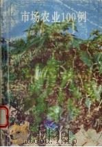 市场农业100例（1993 PDF版）