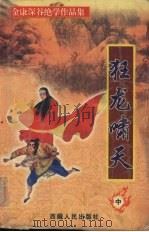 龙啸天下  中（1999 PDF版）