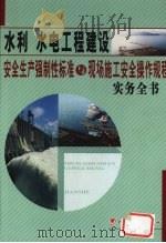 水利水电工程建设安全生产强制性标准与现场施工安全操作规程实务全书  4（ PDF版）