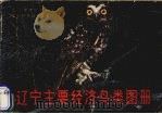 辽宁主要经济鸟类图册 1984 PDF电子版封面 13288·8 辽宁省林学会编写