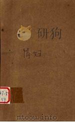 情妇 1994 PDF电子版封面 7536017774 [台湾)西沙著