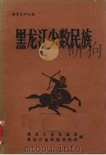 黑龙江少数民族 1903-1931 1985 PDF电子版封面 黑龙江省档案馆,黑龙江省民族研究所编