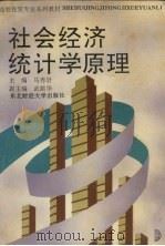社会经济统计学原理 1994 PDF电子版封面 7810050257 马秀岩主编