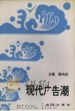 现代广告潮 报纸广告概览 1992 PDF电子版封面 7805567387 裴风安,裴风安主编
