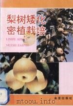 梨树矮化密植栽培（1995 PDF版）