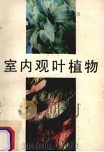 室内观叶植物（1989 PDF版）