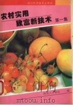 农村实用致富新技术（1987 PDF版）