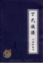 丁氏族谱 PDF电子版封面 丁君轸敬序