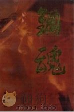 钢魂 1994 PDF电子版封面 7205032105 崔克俭著