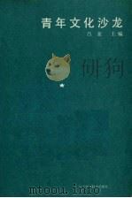 青年文化沙龙 1988.11 PDF电子版封面 7538105190 吕亚主编