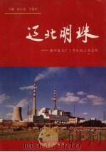 辽北明珠 铁岭发电厂1号机组工程总结 1993 PDF电子版封面 7805663785 彭大为,王禹民主编