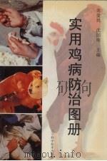 实用鸡病防治图册（1997 PDF版）