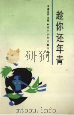 趁你还年青（1990 PDF版）
