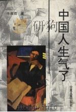 中国人生气了 1996 PDF电子版封面 7227015556 牛撇捺著