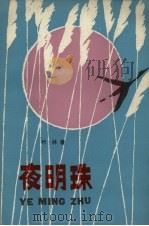 夜明珠 1982 PDF电子版封面 R10280·13 竹林著