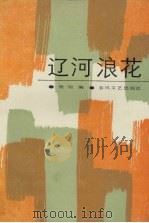 辽河浪花 1989 PDF电子版封面 7531303035 雁翎编