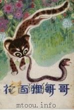 花面狸哥哥 1982 PDF电子版封面 R10280·14 邬朝祝著