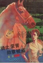 骑士荣誉勋章被盗 1992 PDF电子版封面 7805344973 吴文著