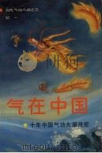 气在中国  10年中国气功大潮泄密（1993.06 PDF版）
