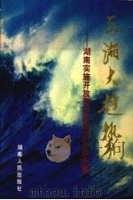 三湘大趋势 湖南实施开放带动战略研究报告集 1997 PDF电子版封面 754381546X 周佑勋主编
