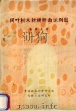 阔叶树木材横断面识别图（1986 PDF版）