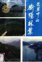 改革中的衡阳林业 1989 PDF电子版封面 衡阳市林业局编