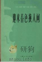 迎来春色换人间 小提琴独奏曲 1977 PDF电子版封面 陈钢等编曲