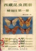 西藏昆虫图册 鳞翅目 第1册 1986.04 PDF电子版封面 张大镛等编