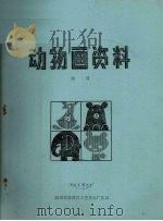 动物画资料  熊猫（ PDF版）